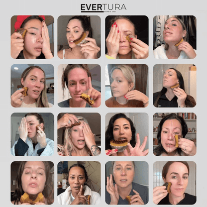 Evertura™ Lymfebørsten